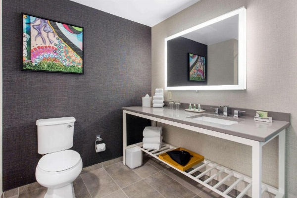 Cambria Hotel Downtown Asheville image 29